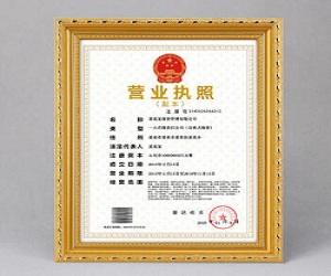 2021武汉办理营业执照具体步骤有哪些?